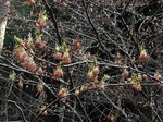 190322-8.jpg
