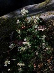 190322-9.jpg