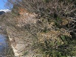 190411-4.jpg