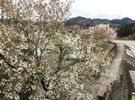 190412-1.jpg