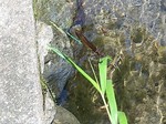 190625-3.jpg