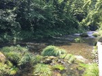 190625-4.jpg