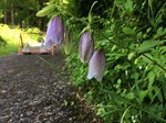 190626-2.jpg
