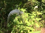 190626-3.jpg