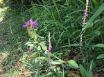 190626-5.jpg
