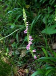 190626-6.jpg