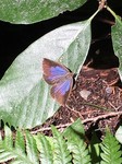 190626-7.jpg