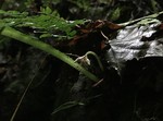 190709-2.jpg