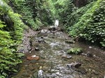190709-3.jpg