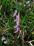 190709-7.jpg