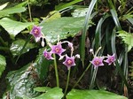 190730-2.jpg