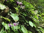 190730-4.jpg
