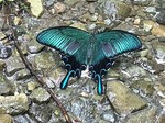 190730-5.jpg