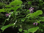 190731-3.jpg