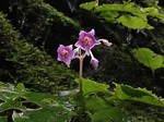 190731-4.jpg