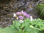 190731-5.jpg