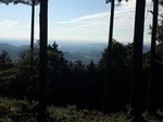 190806-2.jpg