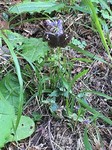 190806-4.jpg