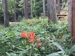 190813-4.jpg