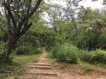 190813-5.jpg