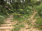 190813-6.jpg