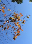 191030-2.jpg