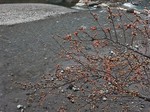 200217-2.jpg