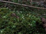 200307-4.jpg
