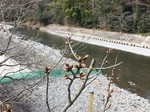 200316-1.jpg
