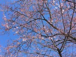 200317-10.jpg