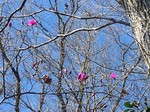 200317-4.jpg