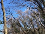 200317-6.jpg