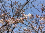 6791AA55-6E83-4AFE-B478-6E8FA2688C23.jpeg