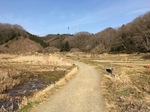 A1CAF975-30EB-4A3B-9542-BB24E7A0A136.jpeg