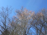 D30D0B03-A95A-4A0B-823A-6B9F98CB3C20.jpeg