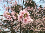 F7359523-50B0-4C75-B669-1221AD23AE5E.jpeg