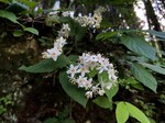 IMG_1905 (1).jpeg