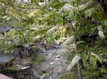 IMG_3583.jpg