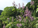 IMG_3755.jpg