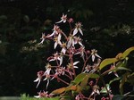 IMG_3790.jpg