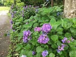 IMG_3994.jpg