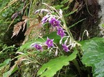 IMG_3995.jpg