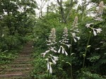 IMG_3999.jpg