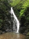 IMG_4017.jpg