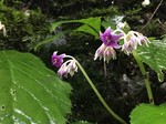 IMG_4019.jpg