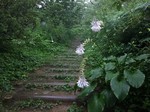 IMG_4086.jpg