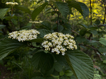 IMG_4290_edited.jpg