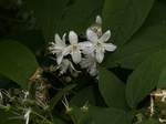 IMG_4318_edited.jpg