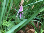 IMG_5427.jpg